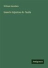 William Saunders - Insects Injurious to Fruits
