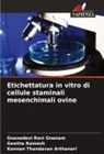 Geetha Ramesh, Gnanadevi Ravi Gnanam, Kannan Thandavan Arthanari - Etichettatura in vitro di cellule staminali mesenchimali ovine