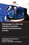 Geetha Ramesh, Gnanadevi Ravi Gnanam, Kannan Thandavan Arthanari - Marquage in vitro de cellules souches mésenchymateuses ovines