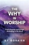 Sy Goraieb - The Why in Worship