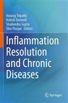 Ashish Dwivedi, Shailendra Gupta, Shiv Poojan, Anurag Tripathi - Inflammation Resolution and Chronic Diseases