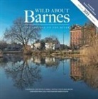 Andrew Wilson - Wild about Barnes