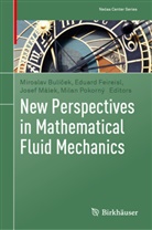 Miroslav Bulícek, Miroslav Bulíček, Eduard Feireisl, Josef Málek, Josef Málek et al, Milan Pokorný - New Perspectives in Mathematical Fluid Mechanics