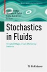 Tomáš Bodnár, Giovanni P. Galdi, Sárka Necasová, Šárka Nečasová, Giovanni P Galdi - Stochastics in Fluids