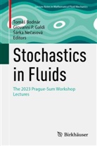 Tomás Bodnár, Tomáš Bodnár, Giovanni P. Galdi, Sárka Necasová, Šárka Nečasová, Giovanni P Galdi - Stochastics in Fluids