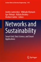 Mykola Beshley, Dietbert Gütter, Mikhailo Klymash, Andriy Luntovskyy, Igor Melnyk, Igor Melnyk et al - Networks and Sustainability
