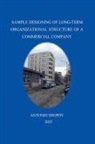 AnSh - SAMPLE DESIGNING OF LONG-TERM ORGANIZATIONAL STRUCTURE OF A COMMERCIAL COMPANY