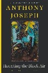 Anthony Joseph - Haunting the Black Air