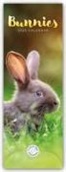 Carousel Calendar - Bunnies - Hasen - Kaninchen 2026 - Slimline-Kalender