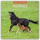 Robin Red, Red Robin, Red Robin Publishing Ltd - Horses - Pferde 2026 - 16-Monatskalender