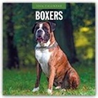 Robin Red, Red Robin, Red Robin Publishing Ltd - Boxers - Deutscher Boxer 2026 - 16-Monatskalender