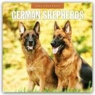 Robin Red, Red Robin, Red Robin Publishing Ltd - German Shepherds - Deutscher Schäferhund 2026 - 16-Monatskalender
