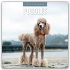 Robin Red, Red Robin, Red Robin Publishing Ltd - Poodles - Pudel 2026 - 16-Monatskalender