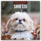 Robin Red, Red Robin, Red Robin Publishing Ltd - Shih Tzu 2026 - 16-Monatskalender