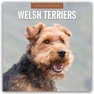 Robin Red, Red Robin, Red Robin Publishing Ltd - Welsh Terriers - Welsh Terrier 2026 - 16-Monatskalender