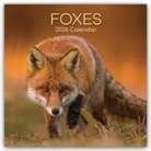 The Gifted, The Gifted Stationery Co Ltd, The Gifted Stationery Co. Ltd - Foxes - Füchse 2026 - 16-Monatskalender