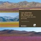 Las plantas de Atacama: El desierto cálido más árido del mundo