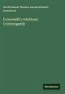 David Samuel Thomas, Racine Western Eisteddfod - Dylanwad Cymdeithasol Cristionogaeth
