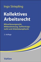 Ingo Striepling - Kollektives Arbeitsrecht