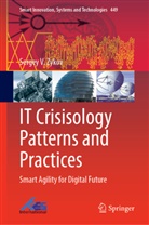 Sergey V Zykov, Sergey V. Zykov - IT Crisisology Patterns and Practices