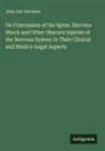 John Eric Erichsen - On Concussion of the Spine. Nervous Shock and Other Obscure Injuries of the Nervous System in Their Clinical and Medico-Legal Aspects
