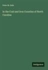 Peter M. Hale - In the Coal and Iron Counties of North Carolina