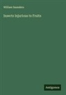 William Saunders - Insects Injurious to Fruits