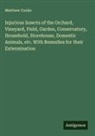 Matthew Cooke - Injurious Insects of the Orchard, Vineyard, Field, Garden, Conservatory, Household, Storehouse, Domestic Animals, etc. With Remedies for their Extermination