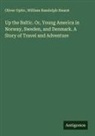 William Randolph Hearst, Oliver Optic - Up the Baltic. Or, Young America in Norway, Sweden, and Denmark. A Story of Travel and Adventure