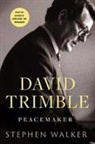 Stephen Walker - David Trimble: Peacemaker