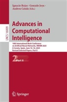 Andreu Catala, Andreu Català, Gonzalo Joya, Ignacio Rojas - Advances in Computational Intelligence