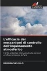 Deogracias Bilo - L'efficacia dei meccanismi di controllo dell'inquinamento atmosferico