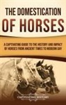 Captivating History - The Domestication of Horses