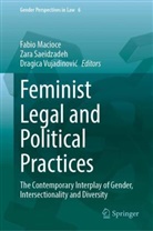 Fabio Macioce, Zara Saeidzadeh, Dragica Vujadinovic, Dragica Vujadinović - Feminist Legal and Political Practices