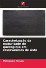 Malleswara Yenugu - Caracterização da maturidade do querogénio em reservatórios de xisto