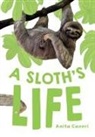 Anita Ganeri - A Sloth's Life