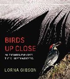 Lorna Gibson, Gibson Lorna - Birds Up Close