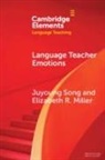 Miller Elizabeth R., Song Juyoung - Language Teacher Emotions