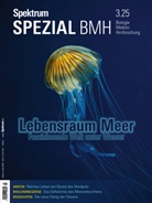 Spektrum der Wissenschaft - Spektrum Spezial BMH 3/2025 - Lebensraum Meer
