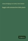 Pietro Robiati, Johann Wolfgang von Goethe - Saggio sulla metamorfosi delle piante