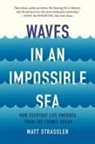 Matt Strassler - Waves in an Impossible Sea