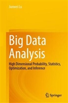 Junwei Lu - Big Data Analysis