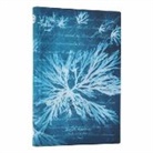 Paperblanks - Sea Flowers (Anna Atkins’ Cyanotypes) Mini Lined Softcover Flexi Journal (Elastic Band Closure)