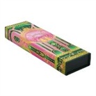 Paperblanks - The Magic of Wicked (Wicked Collection) Pencil Case