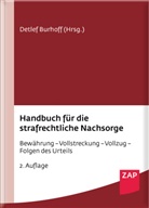 Heiko Artkämper, Heiko Dr. Artkämper, Detlef Burhoff, Ulrike Hahn-Oleownik, Daniel Hunsmann, Daniel Dr. Hunsmann... - Handbuch für die strafrechtliche Nachsorge