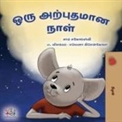 Kidkiddos Books, Sam Sagolski - A Wonderful Day (Tamil Children's Book)