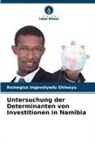 Remegius Ingavalyedu Shiwayu - Untersuchung der Determinanten von Investitionen in Namibia