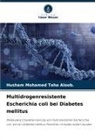 Husham Mohamed Taha Aloob, Husham Mohamed Taha Aloob. - Multidrogenresistente Escherichia coli bei Diabetes mellitus