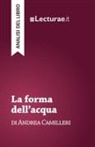 Tommaso Rossi, Tommaso Rossi - La forma dell'acqua - Andrea Camilleri (analisi del libro)