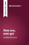 Tommaso Rossi, Tommaso Rossi - Non ora, non qui - Erri De Luca (analisi del libro)